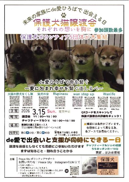 ニュースレター「コネクル vol.5」リリース