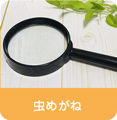 くさつ市民活動調査「虫めがね」